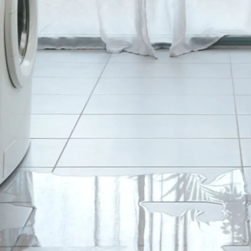 Appliance Leak Cleanup in Jackson County, IN
