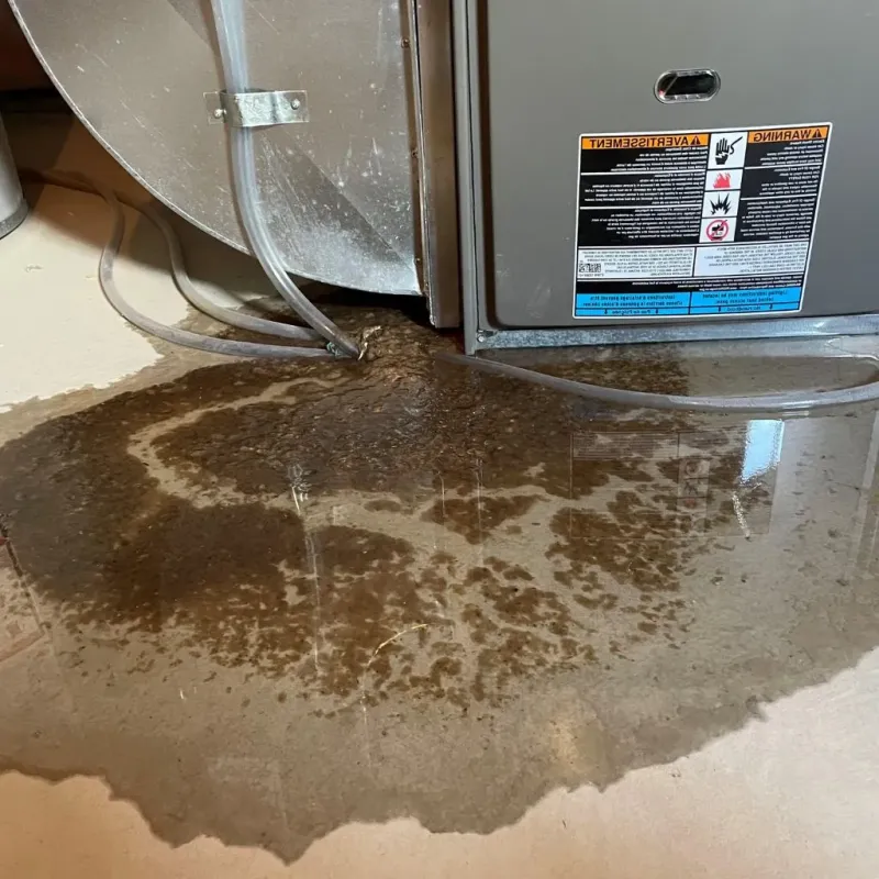Pipe Burst and Leak Restoration in Jackson County, IN