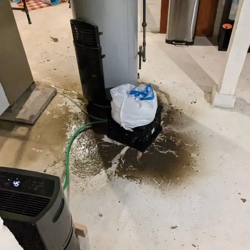 Sewage Backup Cleanup Service in Jackson County, IN
